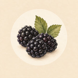 Brombeere