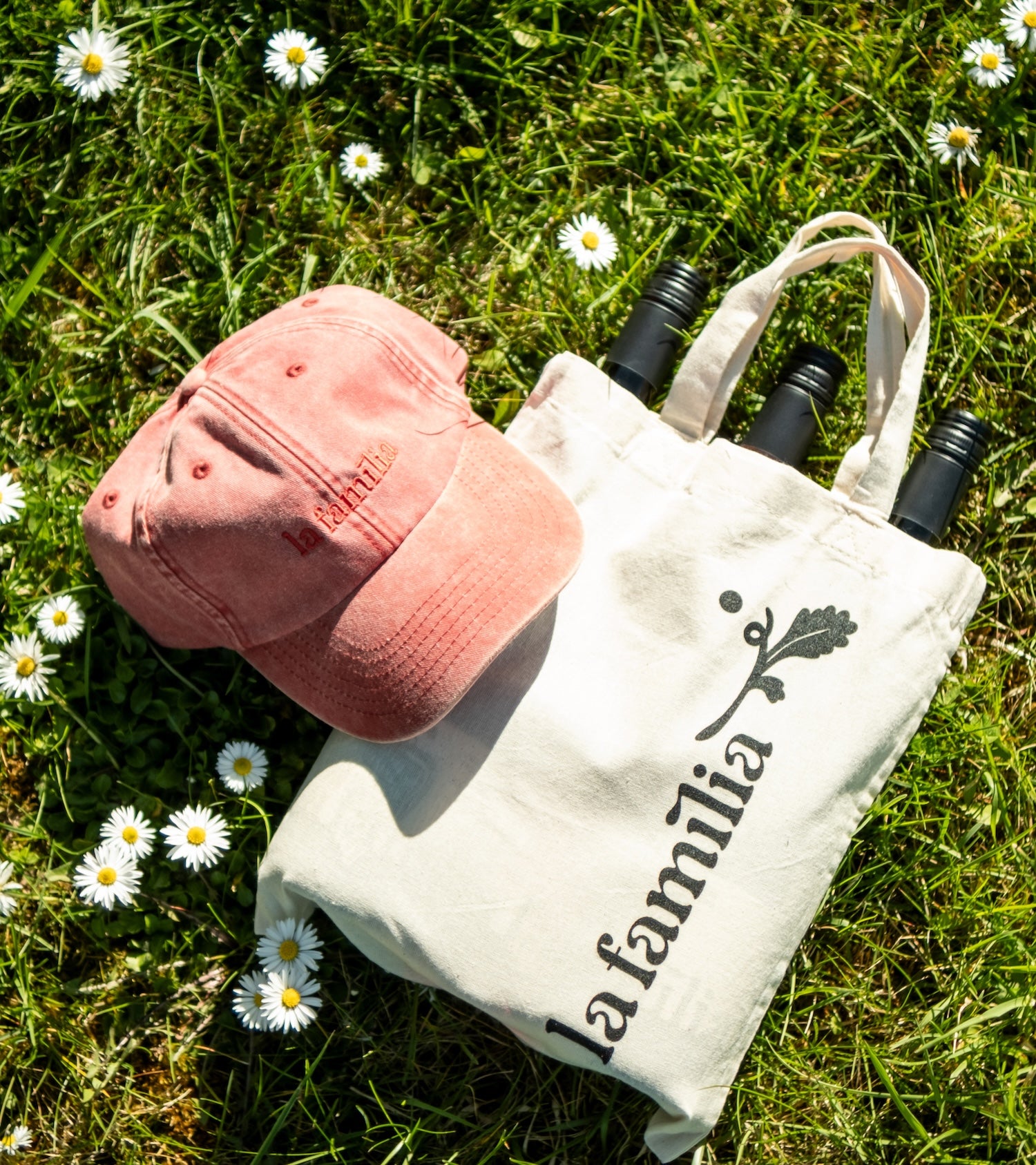la familia spring Paket