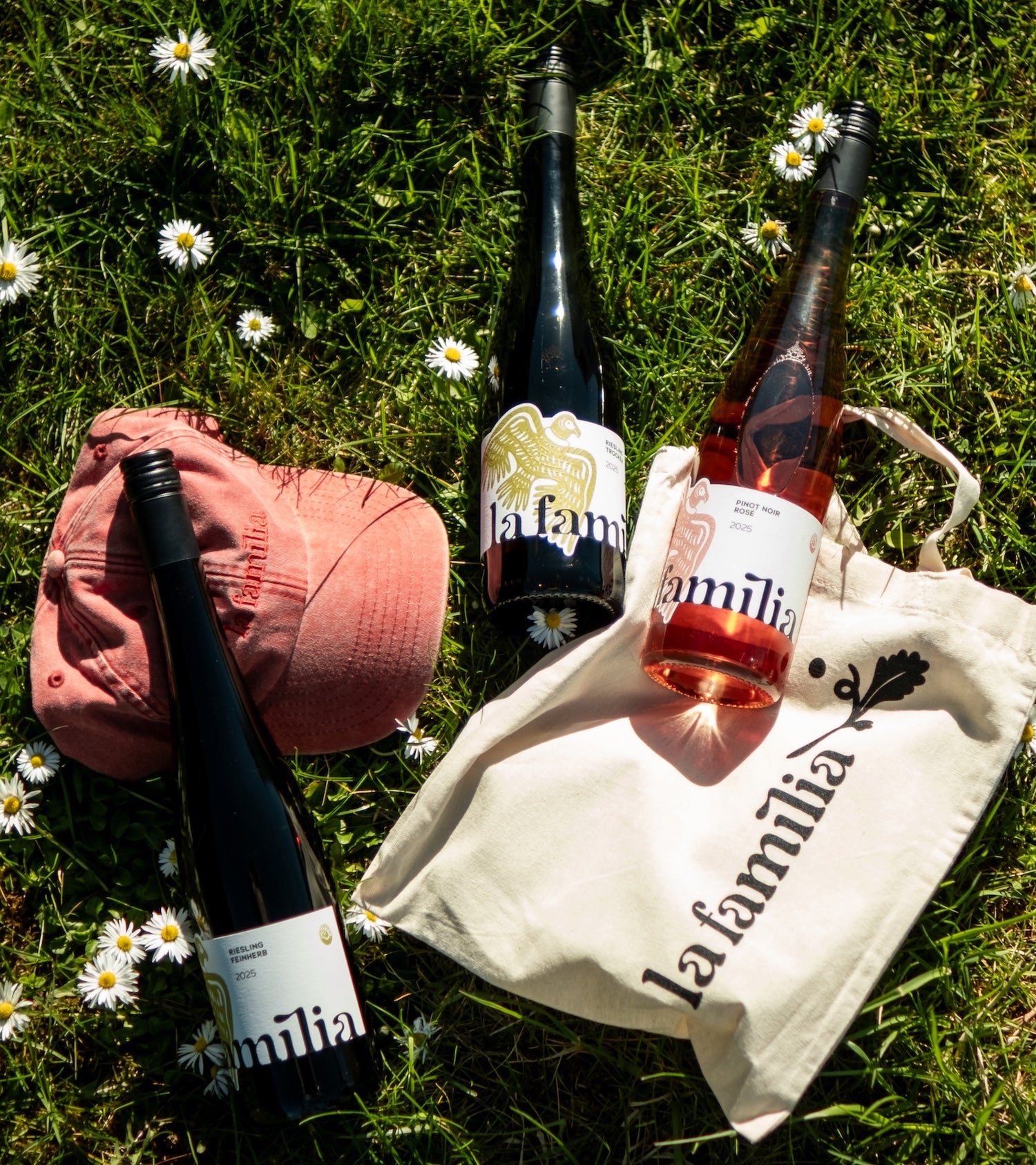 la familia spring Paket
