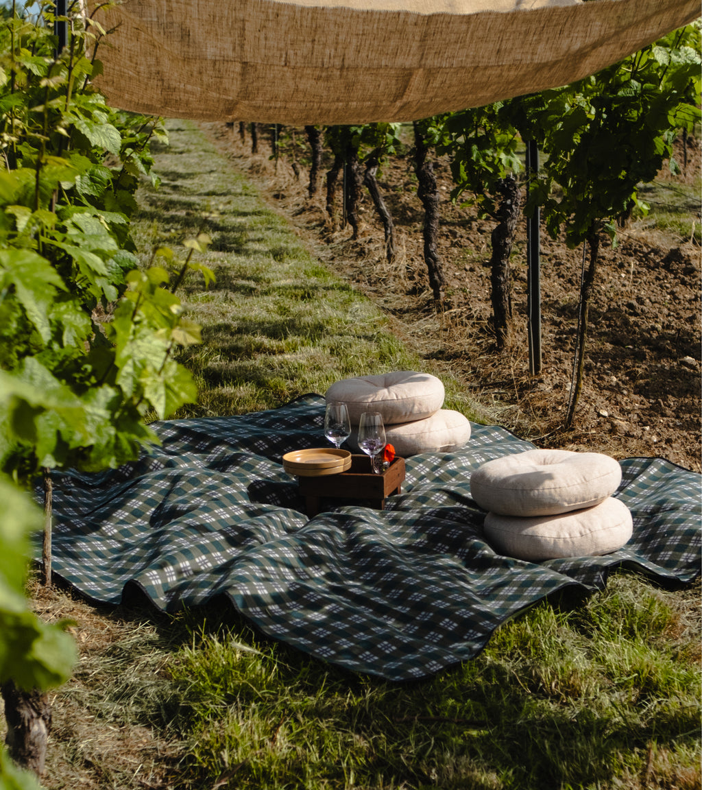 Weinberg Picknick