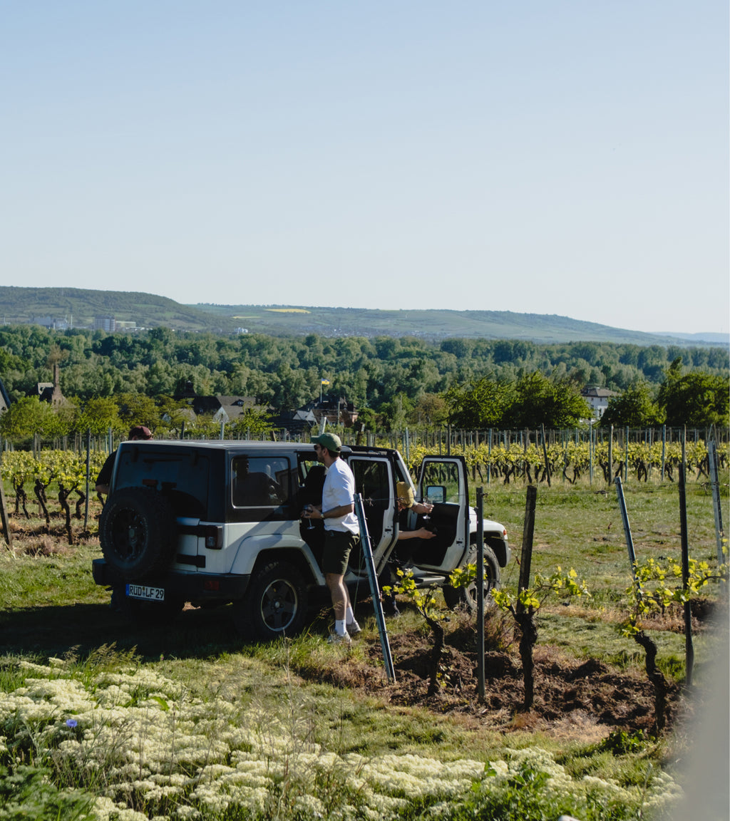 Exklusive Wine Experience