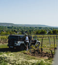 Exklusive Wine Experience