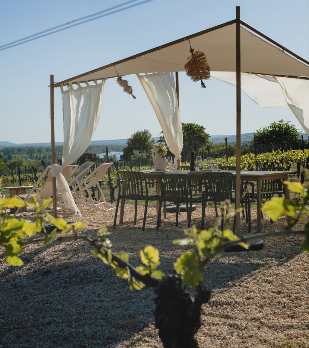 Exklusive Wine Experience