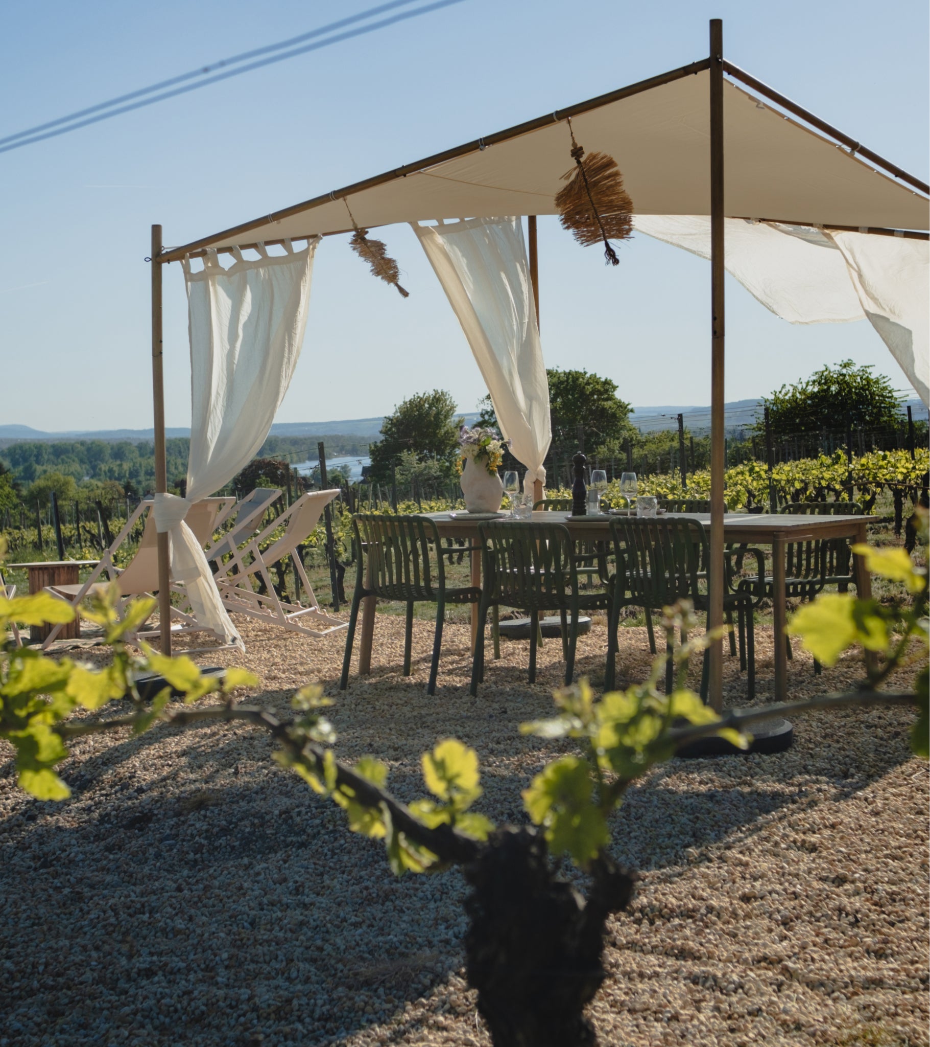 Exklusive Wine Experience